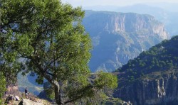 Views of the Copper Canyon