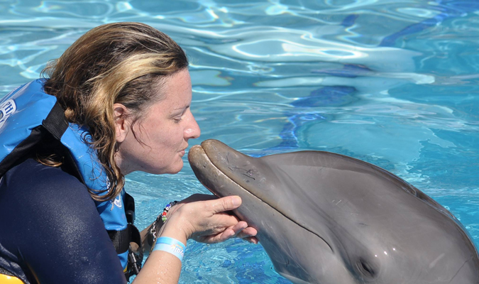 susanne-dolphin-swim | Journey Mexico