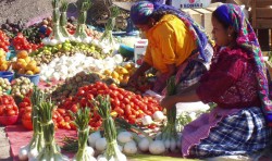 oaxaca market