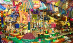 Oaxaca Market