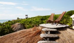 Papaya Playa Casa viento Roof Chairs