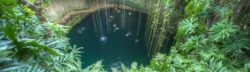 One of the cenotes in Mexico: Ik Kil