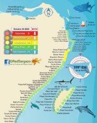 sargassum map