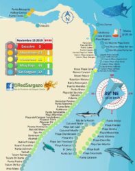 sargassum map