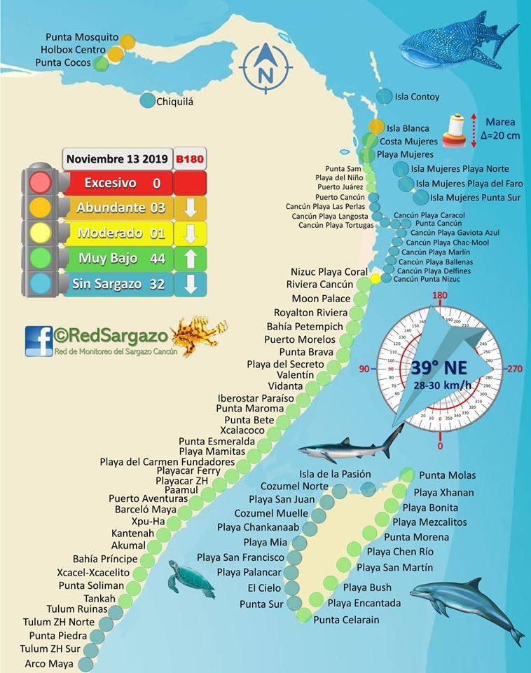 Check out the regularly updated Sargassum seaweed map below to see