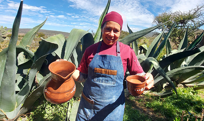 san miguel allende maguey culture