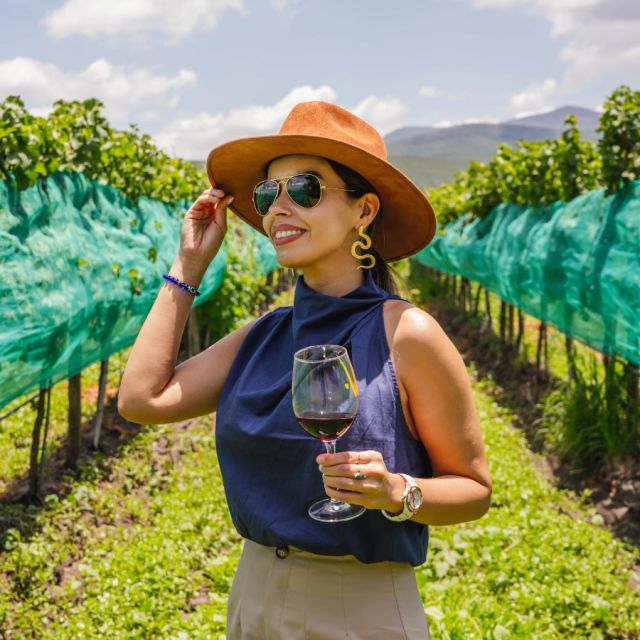 In Mexico, summer kicks off grape harvest season and a flurry of vendimia fiestas. 🍷🍇

Top wine regions? Baja California and Northern Mexico, but Central Mexico’s Queretaro, Zacatecas, and Guanajuato aren't slacking either. Late July and early August bring wine tastings, grape stomping, and vineyard tours. If you’re a wine lover or just looking for an excuse to stomp some grapes, this is your time to shine! ✨

#mexico #mexicotravel #wine #vineyard #vendimia #travel #luxurytravel