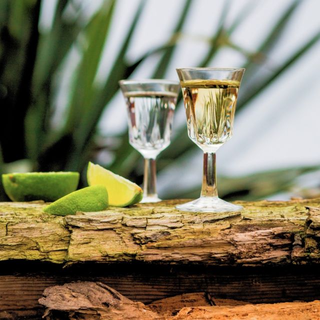 Tequila is more than just a drink—it's packed with history, culture, and tradition. Since it's International Tequila Day, let's raise a glass and celebrate all the good stuff that comes with it! 🥂✨

#mexico #tequila #internationaltequiladay #culture #heritage #tradition