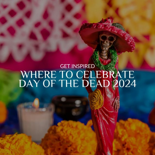 Day of the Dead kicks off in early November, and even though it might feel like it’s ages away, it’s actually coming up fast! Best bet is to book your trip now.

Celebrations are unique in different parts of Mexico, so the best spot really depends on the vibe you’re after. 🏵️✨

Want some help finding the perfect place to celebrate? Drop a ‘DOD’ in the comments, and we’ll hook you up with our 2024 guide! 

#mexico #mexicotravel #dayofthedead #diademuertos #travel #oaxaca #cdmx #sma #chiapas