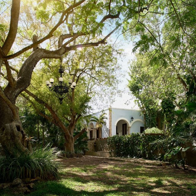 @chablehotels honor Mexican heritage with a commitment to sustainability. 🌱 Their properties blend seamlessly with nature, using renewable materials and eco-friendly designs. 

At @chableyucatan, repurposed 16th-century materials and organic create unique, natural spaces, showing that sustainability and style can effortlessly coexist. ✨ 

#mexico #mexicotravel #chable #travel #luxurytravel #culture #heritage #hacienda