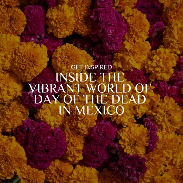 Come along with us as we capture the vibrant spirit of Día de los Muertos in Mexico! 🕯️✨

Around this time of year, preparations are in full swing across the country to welcome back our loved ones on November 1st and 2nd. Though they may no longer be with us physically, they forever hold a cherished place in our hearts. ❤️

#mexico #dayofthedead #diademuertos #traditions #culture #heritage