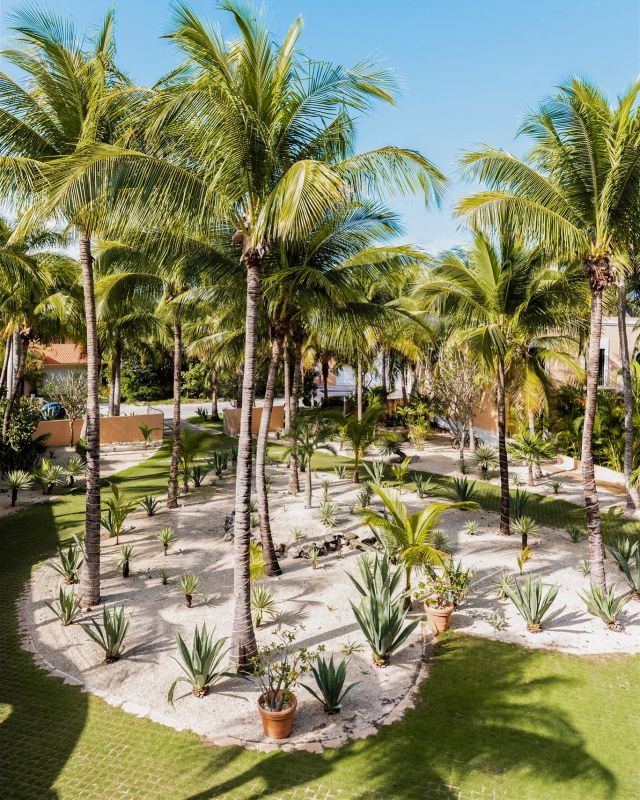 Looking for a holiday spot in the Riviera Maya? 🌞 Hacienda Corazón is calling your name! Meaning “House of Hearts,” this name will come to life the moment you pass through the gates and spot the heart-shaped palm garden. 🌴

They still have a few festive spots left, but they’re going fast. So, rally your favorite people and get ready to make some epic holiday memories together! #VillasbyJourneyMexico

#mexico #mexicotravel #rivieramaya #luxurytravel #holidays #villa