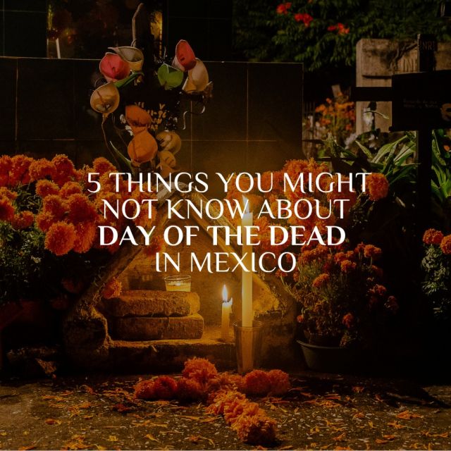 Today’s the day! On Day of the Dead, November 1st and 2nd, we get to welcome back our loved ones who’ve passed. 🕯️✨

This holiday is so close to our hearts, and we’d love to share some special things about it with you. Swipe through to discover more about this beautiful celebration! 💀

#mexico #mexicotravel #diademuertos #dayofthedead #heritage #culture