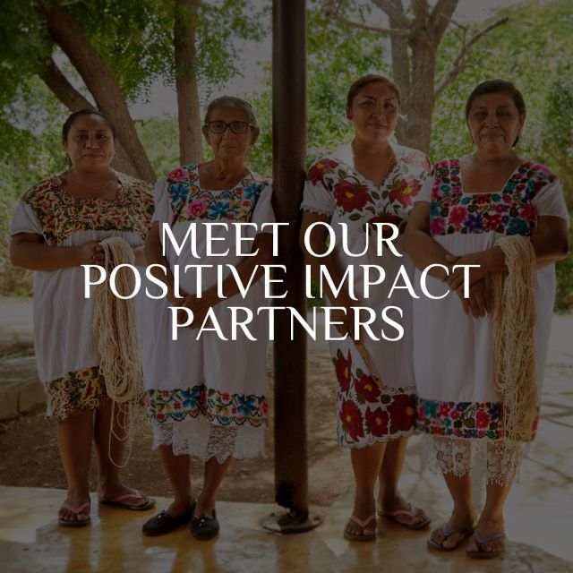 Every decision we make is driven by a deep sense of purpose, especially when it comes to our Positive Impact Partners. 🌱

As part of our commitment to low-impact, environmentally and socially conscious travel, we prioritize community participation. That’s why we team up with nonprofits focused on conservation and sustainable development, and our Responsible Travel Fee helps make all of this possible.

We’ve been working closely with these incredible organizations for a while now, and we’d love for you to meet them!

#responsibletravel #conscioustravel #positiveimpact #travel