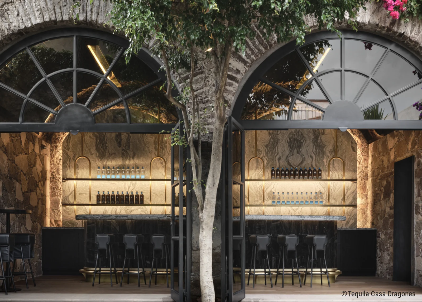 06CDMXandSanMiguelAllendeCultureFoodWinecasadragonesobsidianbar