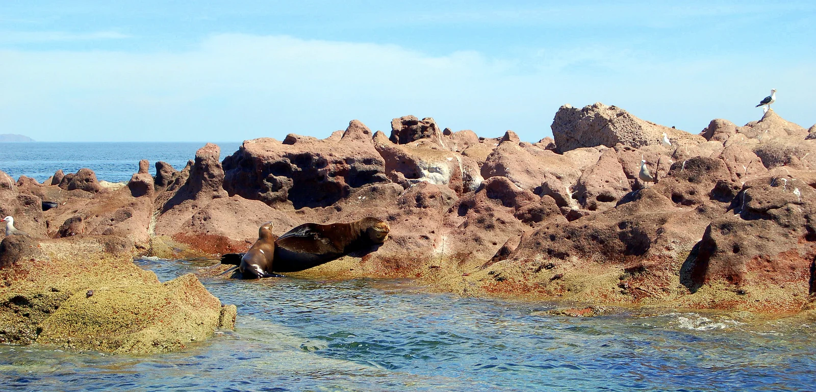 GAL-01-islaespiritusantojourneymeixco