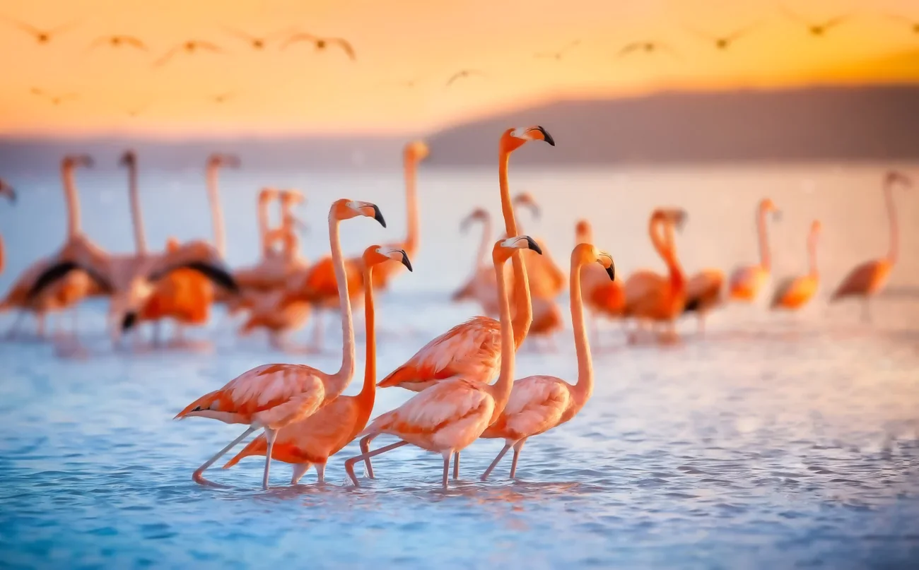 iStock-956025806