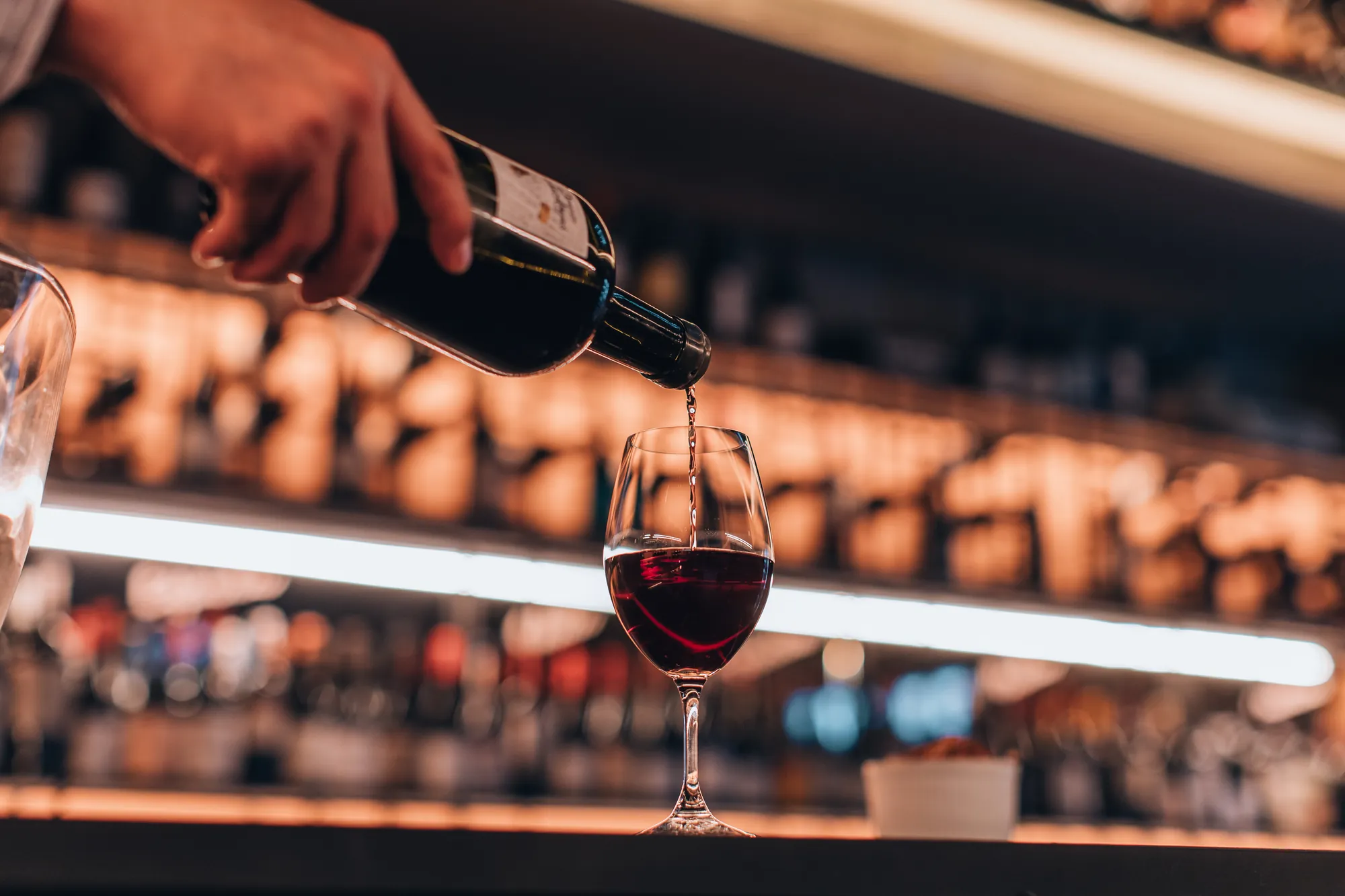 Cata de Vinos